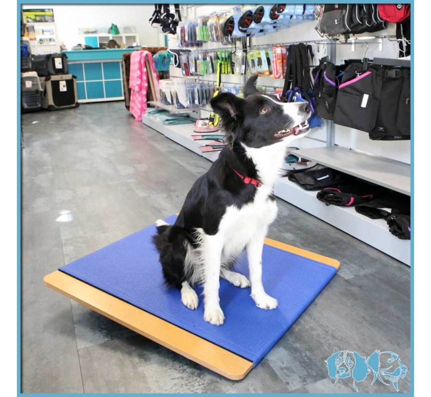 Kantelbord voor Honden – FitPAWS Groot Balansbord (75x75 cm)