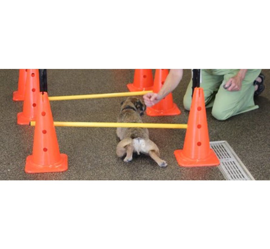 Horden set voor honden