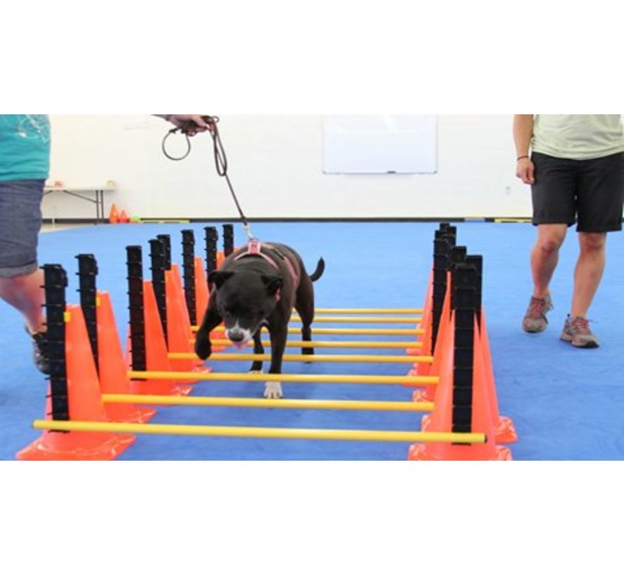 Dog Hurdle Set