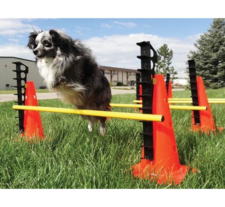 Horden set voor honden