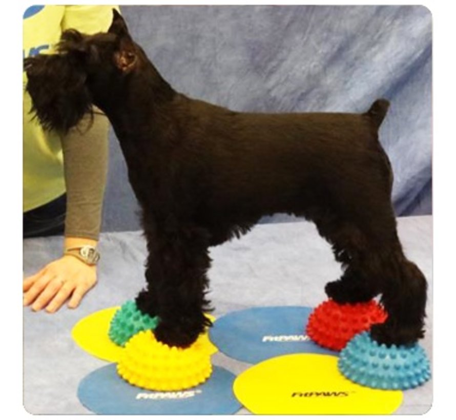 Pootkussentjes voor Honden - set van 4