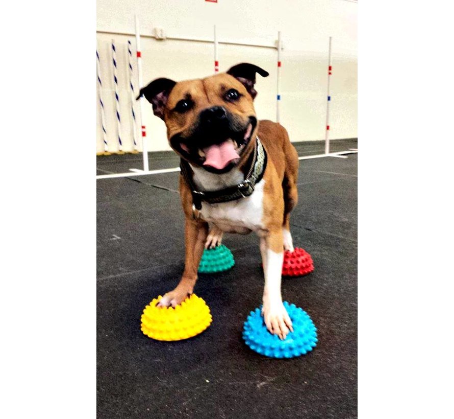 Dog Paw Pods – Set of 4