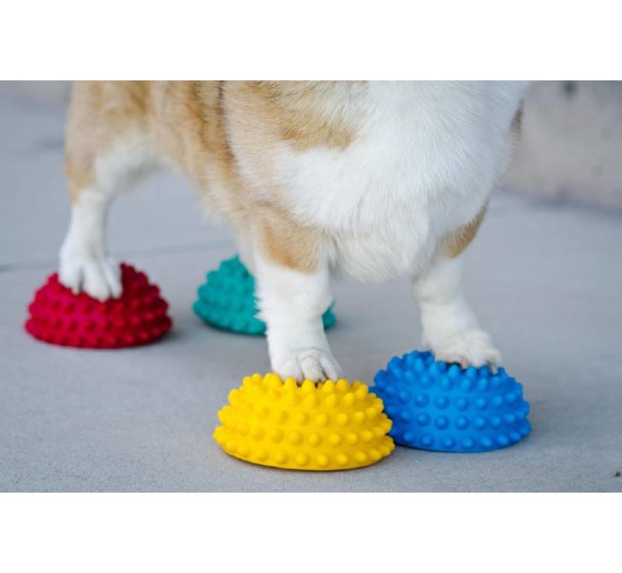 Pootkussentjes voor Honden - set van 4