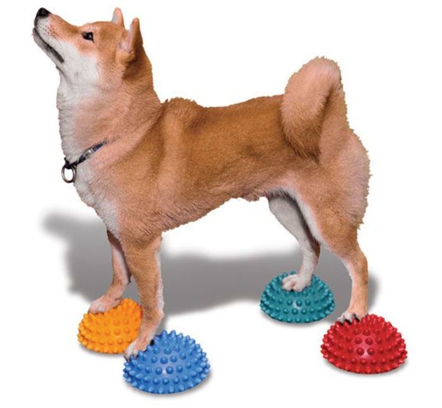 Dog Paw Pods – Set of 4