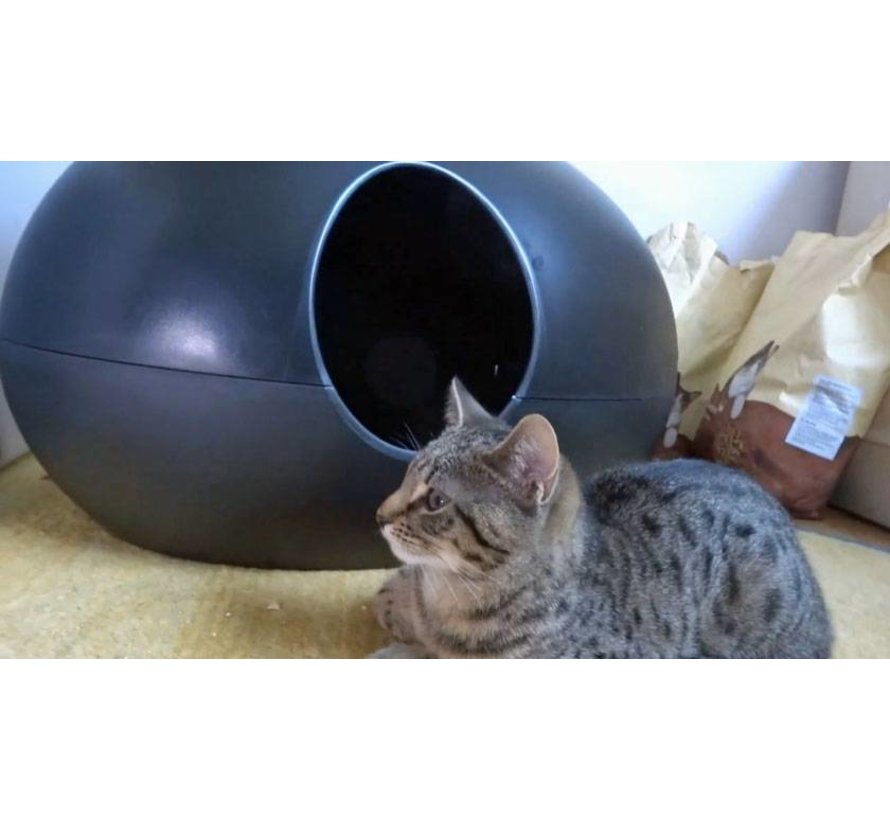 Design Litter Box Poopoopeedo black