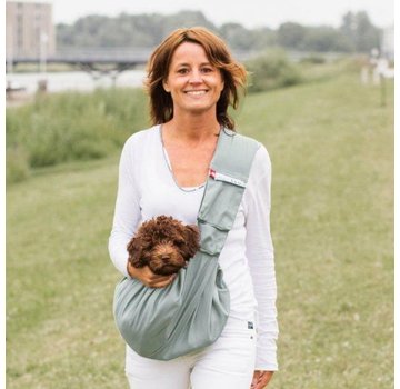 4LazyLegs Dog Carrier Canvas Grey