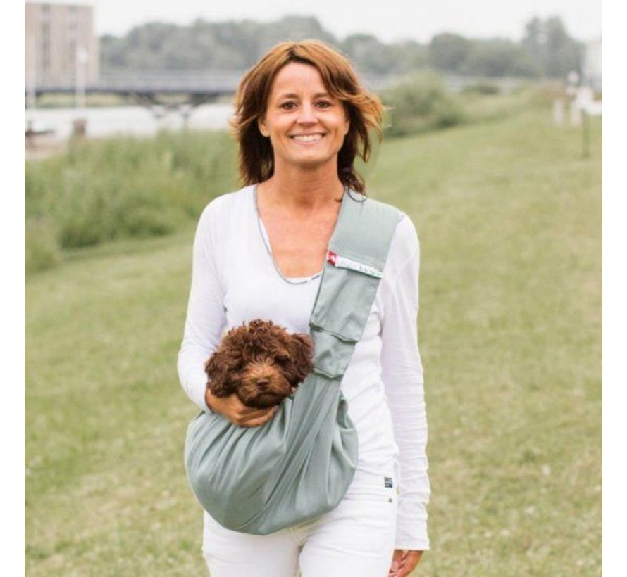 Dog Carrier Canvas Grey