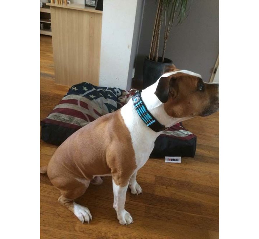 Dog Collar Blue River 35mm