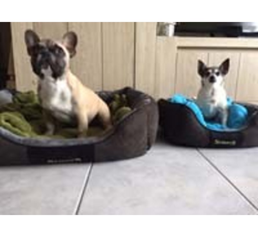 Chester Dog Bed Box Bed Graphite