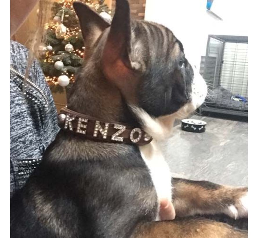 Hondenhalsband Met Naam Bruin (Medium)