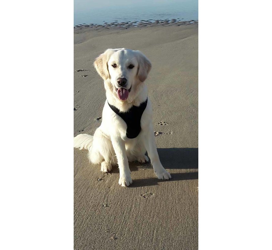 Hondentuig Round Loop Harness Mesh Black