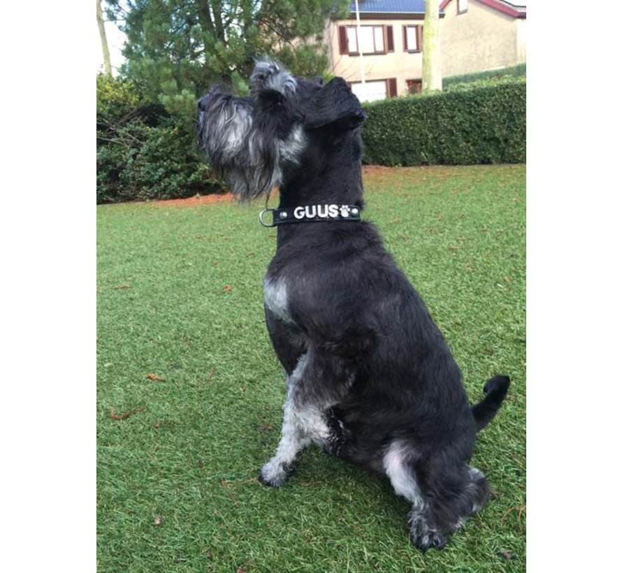 Dog collar with name Medium Black