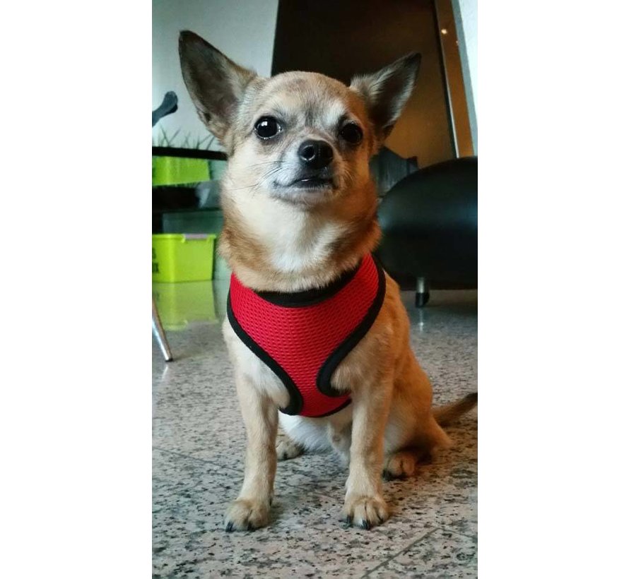 Hondentuig Round Loop Harness Mesh Red