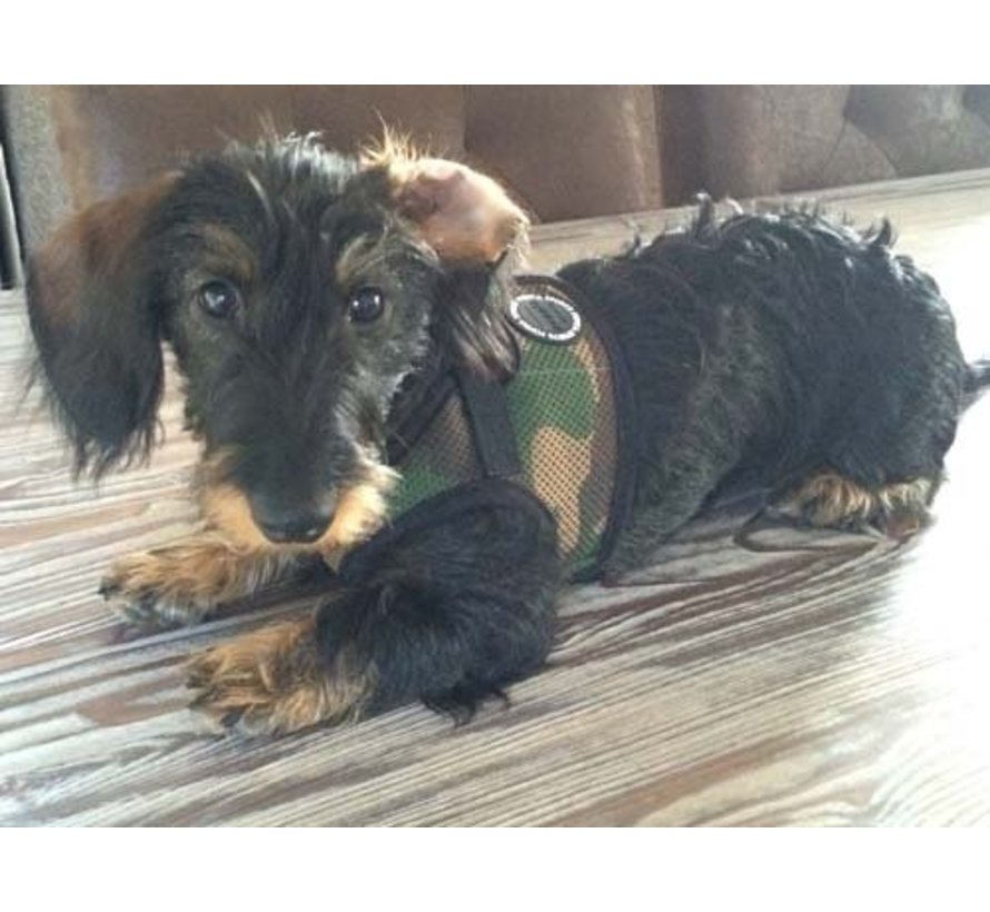 Dog Harness Soft Vest Camouflage