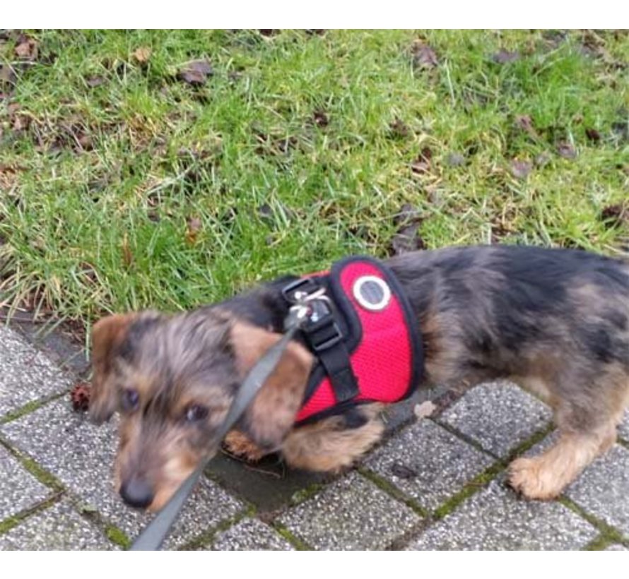 Hondentuig Soft Vest Harness Red