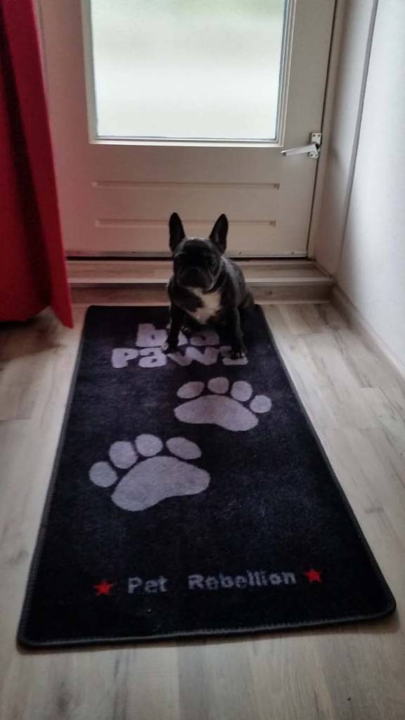 Pet Rebellion Barrier Rug Stop Muddy Paws Grey - Petsonline