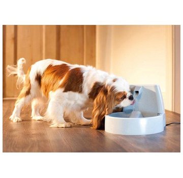 Petsafe Drinkfontein Drinkwell Original