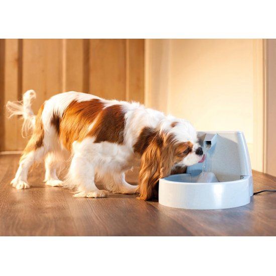 Afbeelding PetSafe Drinkwell Drinkfontein - 1.5 L door Petsonline