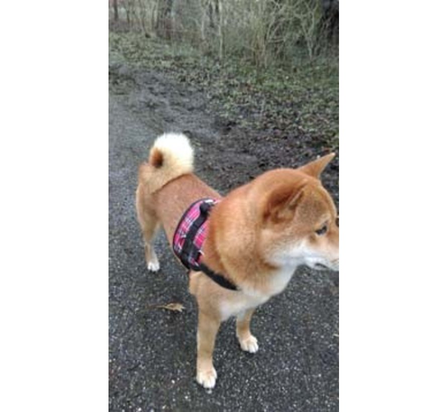 Dog Harness Survival Harness Tartan Red