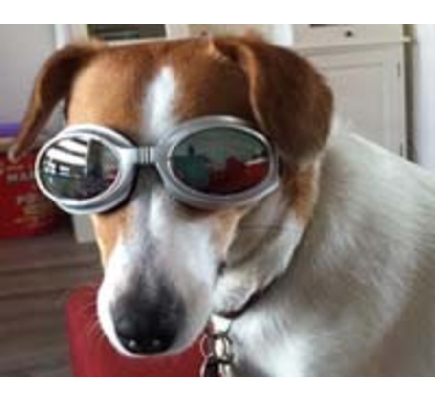 Dog Sunglasses Ibiza Silver frame/Mirror lens
