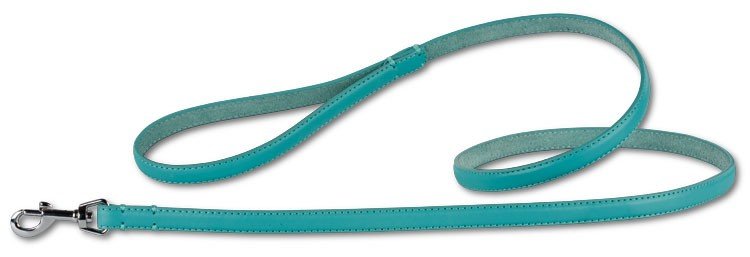 Hondenriem Turquoise