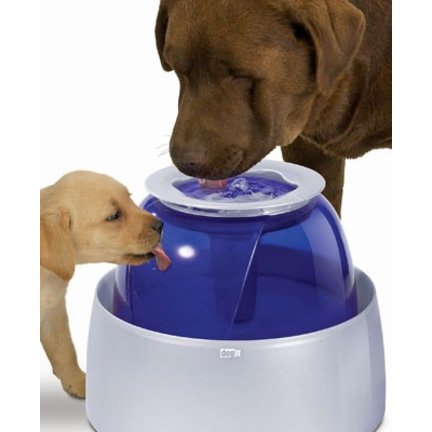 Drinking Fountain for dogs