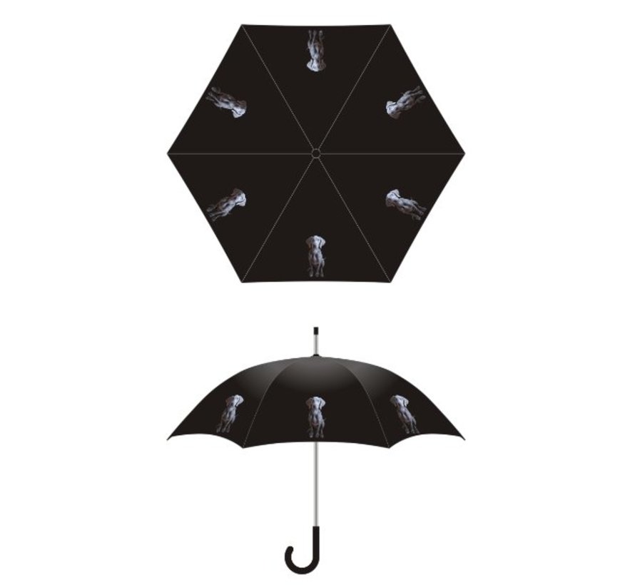 Umbrella with dog print