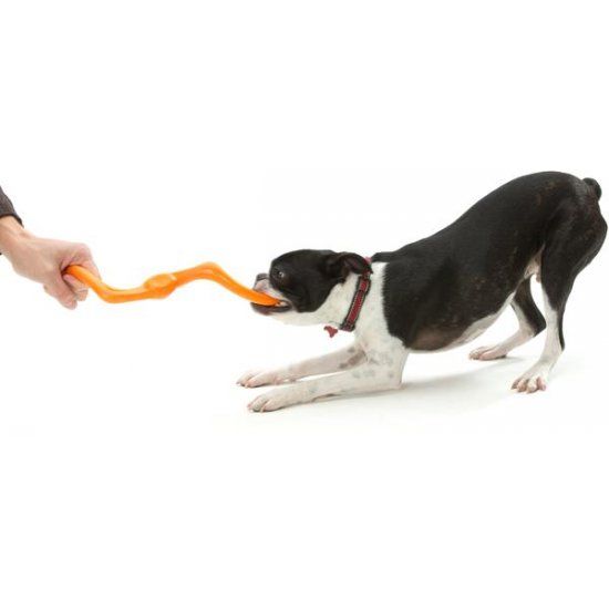 Afbeelding Zogoflex Bumi - Large - Orange door Petsonline