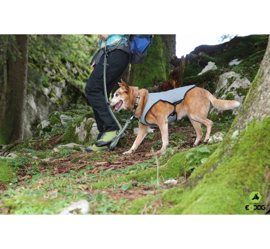 Cooling Vest Cool Dog Blue