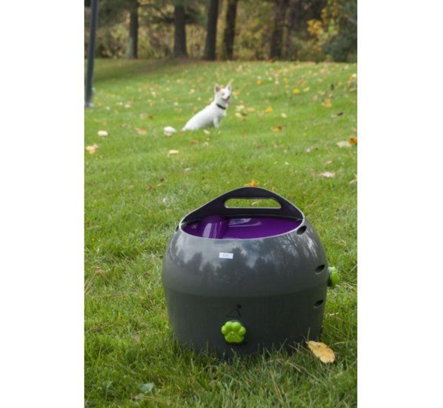 Petsafe Automatic Ball Launcher