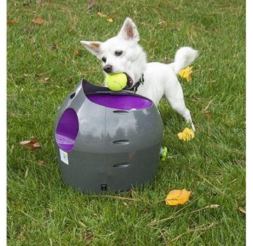 Petsafe Automatic Ball Launcher