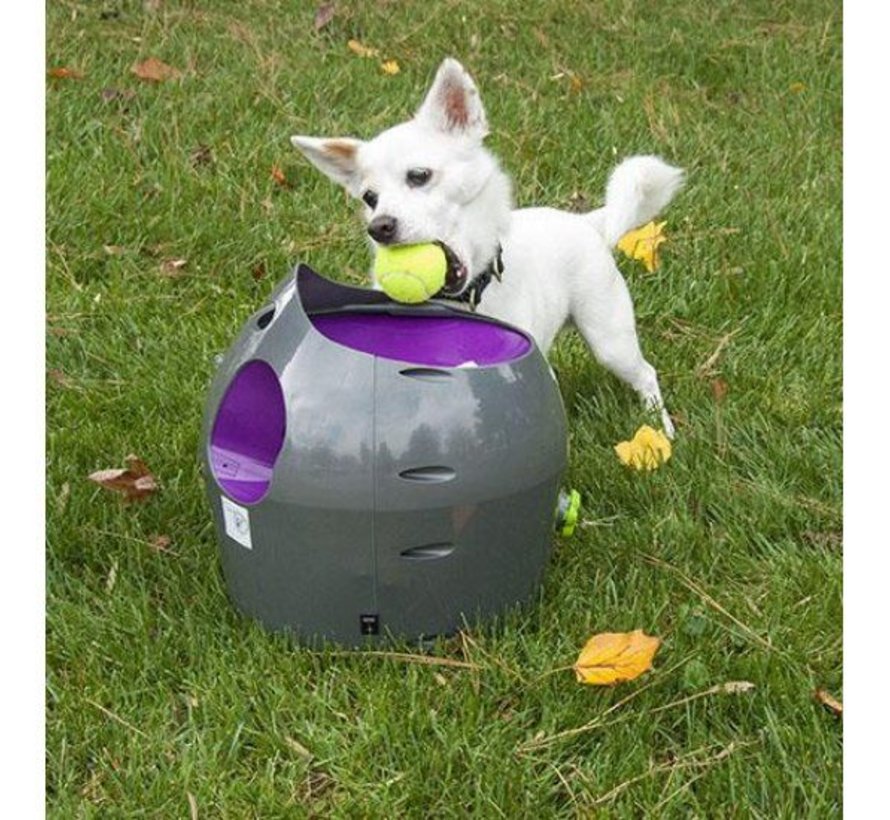 petsafe automatic ball launcher