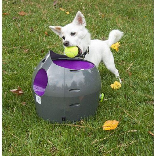 Afbeelding PetSafe Ball Launcher door Petsonline
