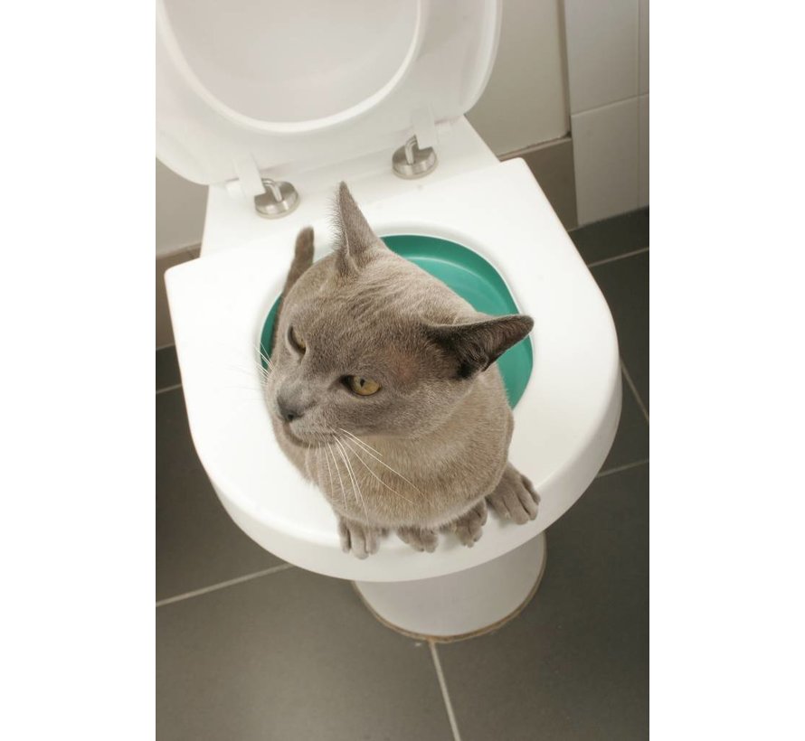 Toilet training system for cats