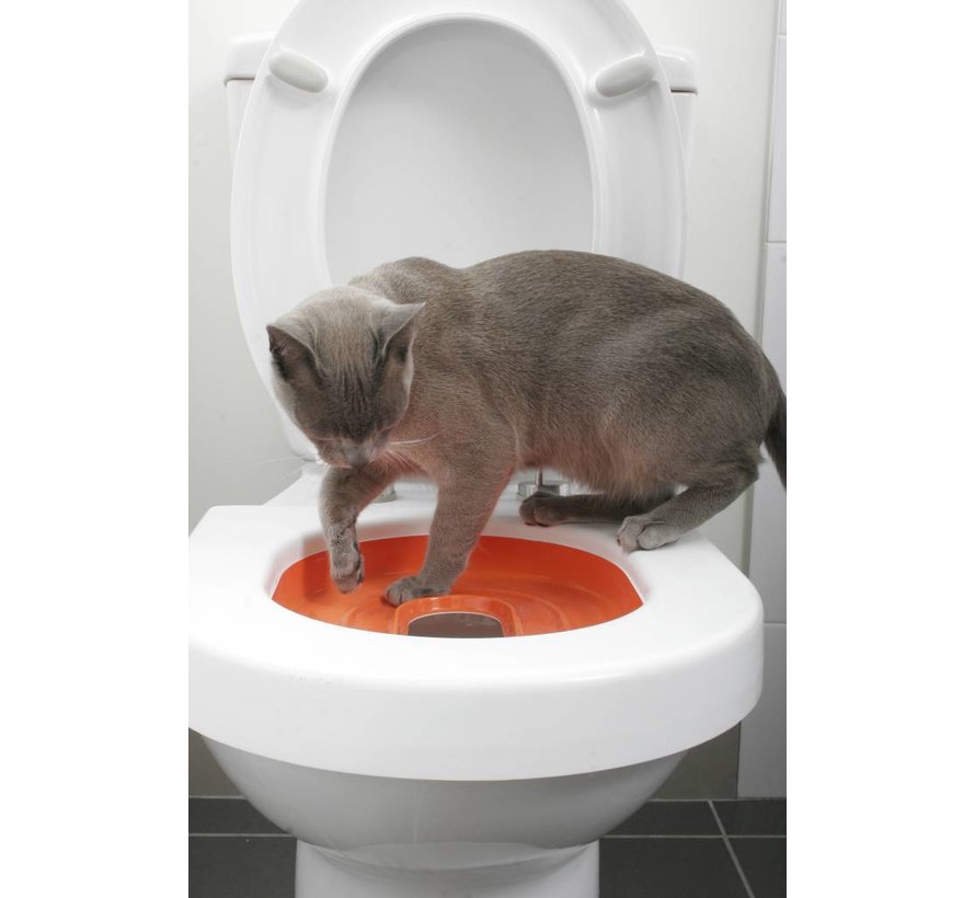 Toilet training system for cats