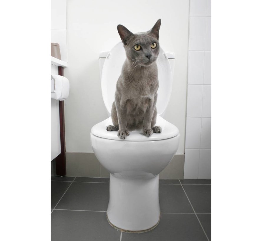 Toilet training systeem voor katten