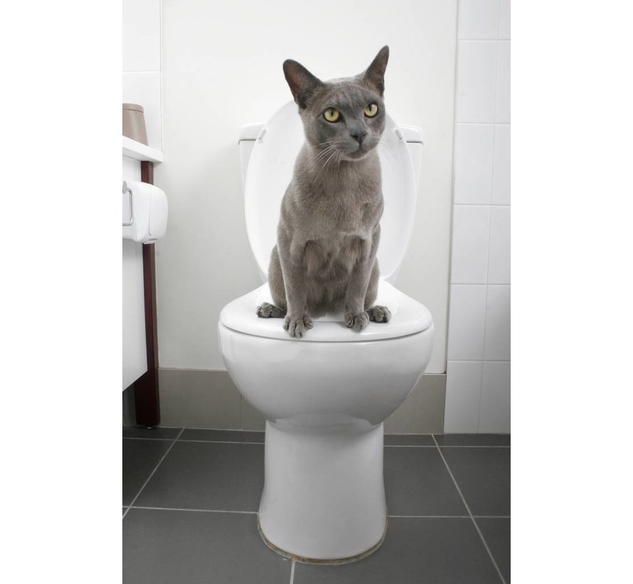 Toilet training system for cats