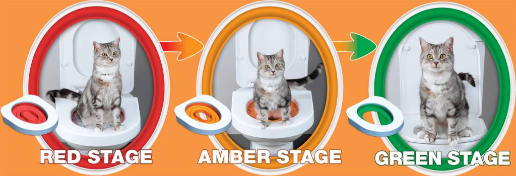 Aanbeveling Geruststellen Bestaan Litter Kwitter Toilet training systeem voor katten - Petsonline