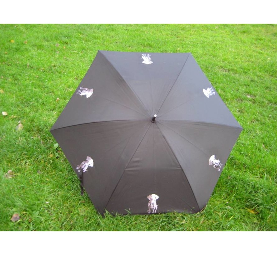 Dog print umbrella cheap