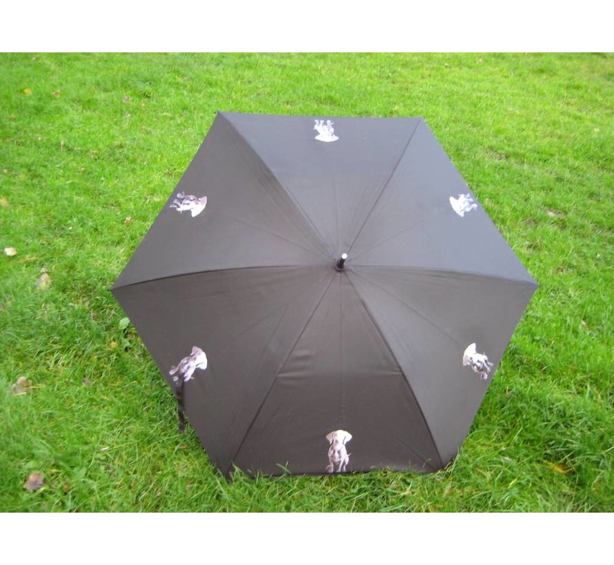 Umbrella with dog print