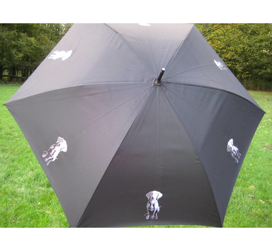 Umbrella with dog print