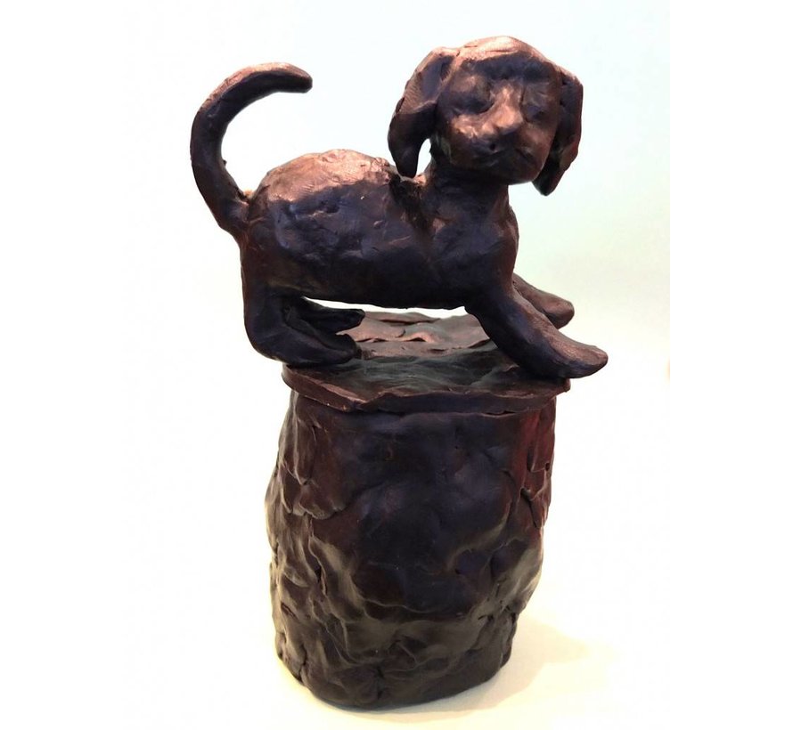 Bronzen urn voor hond of kat