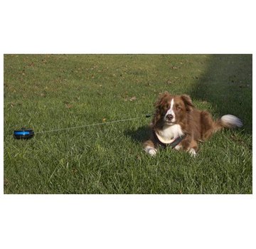 Petstages Retractable Leash with bottom pin