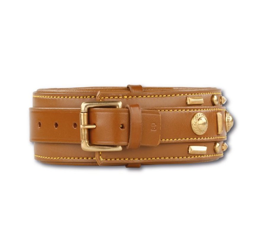 Dog Collar Glorious Tan 60mm