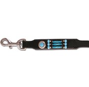 Doxtasy Dog Leash Blue River