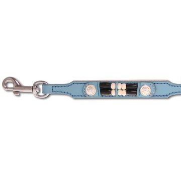 Doxtasy Dog leash Baby Blue Eagle