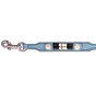 Dog leash Baby Blue Eagle