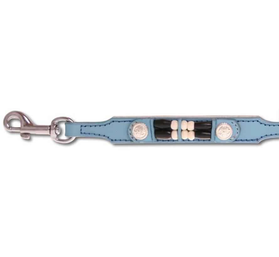 Dog leash Baby Blue Eagle