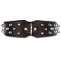 Dog collar Savage Spikes Black