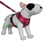 Dog Harness Round Loop Harness Scottish Hot Pink